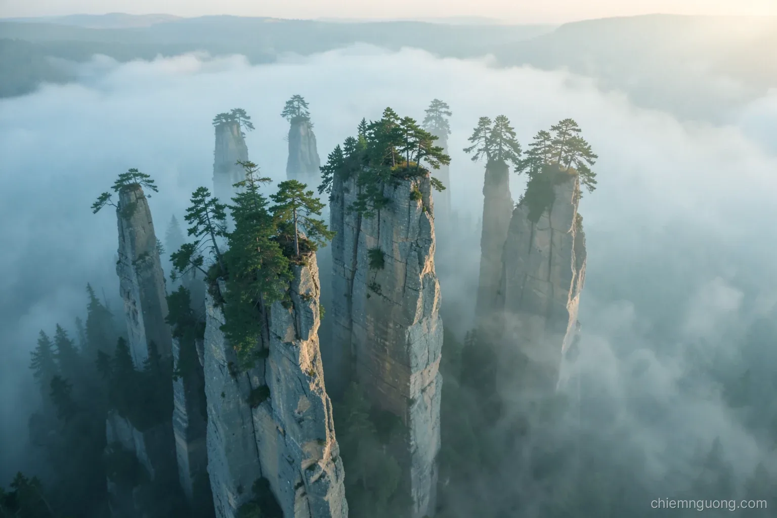 Aerial view of tall vertical sandstone pillars rising from a sea of mist, pine trees clinging to their tops, cool green and grey palette, early morning soft light